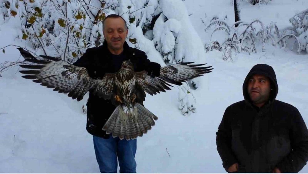 Kargayı Atmacanın Pençelerinden Yoldan Geçen Vatandaşlar Kurtardı