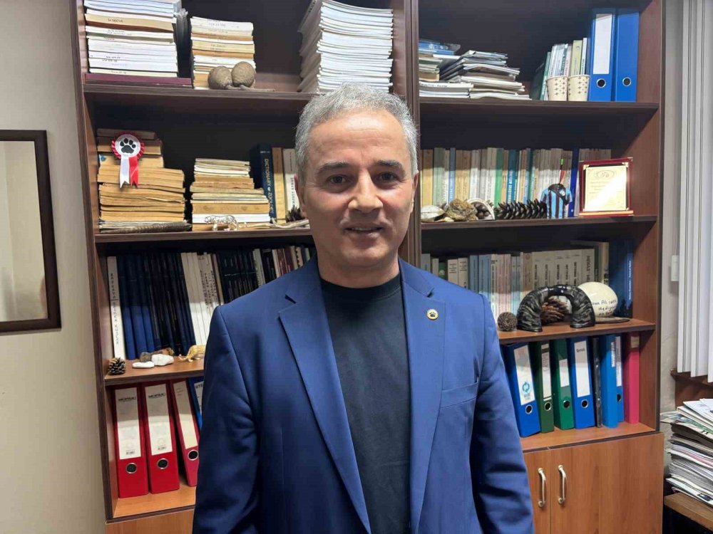 Uzmanlar Kış Uykusuna Yatmaya Hazırlanan Ayılar Konusunda Uyardı