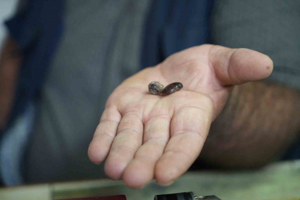 Bayburtlu Kehribar Ustası İşlediği Taşta Milyonlarca Yıllık Böcek Fosili Buldu