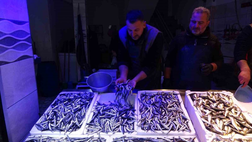 Beklenen Gürcistan Hamsisi Gelmeyince Tezgahlar Buzhane Hamsisine Kaldı