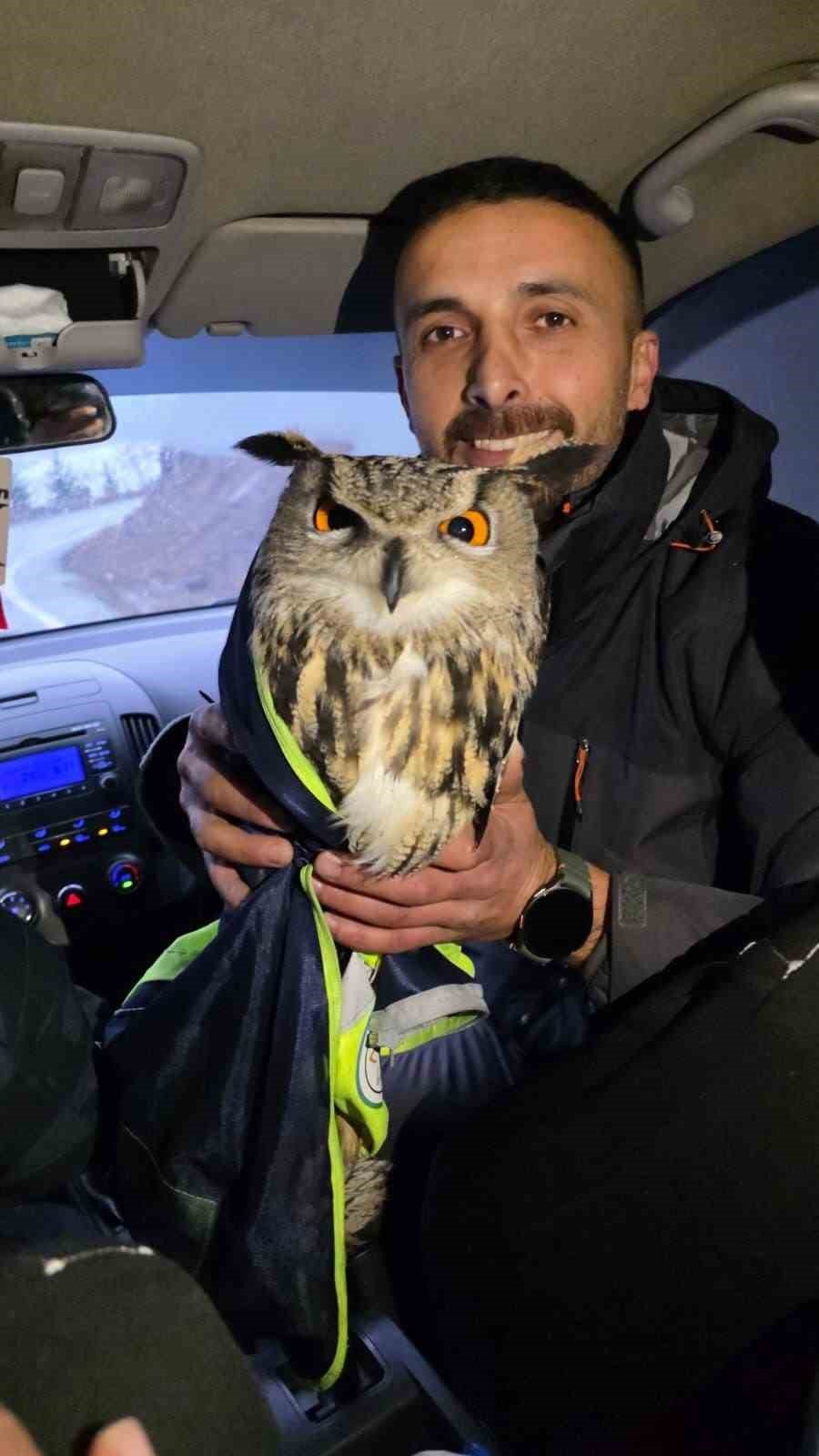 Artvin’de Tellere Takılan Baykuşu İl Özel İdaresi Ekipleri Kurtardı