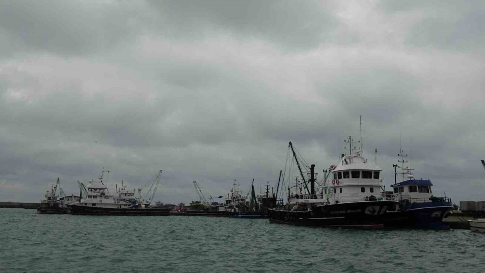 Türkiye’yi Terk Eden Hamsinin Yolu Gözleniyor