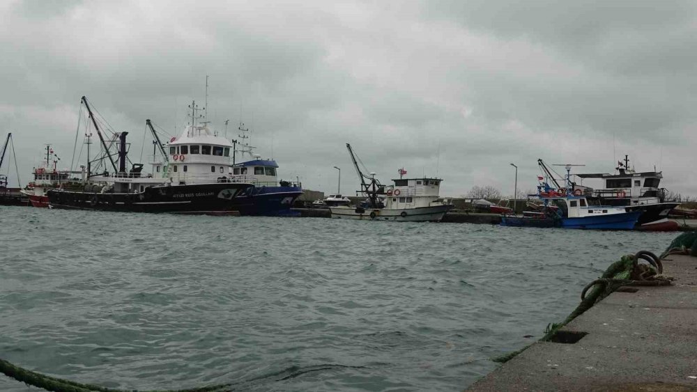 Türkiye’yi Terk Eden Hamsinin Yolu Gözleniyor