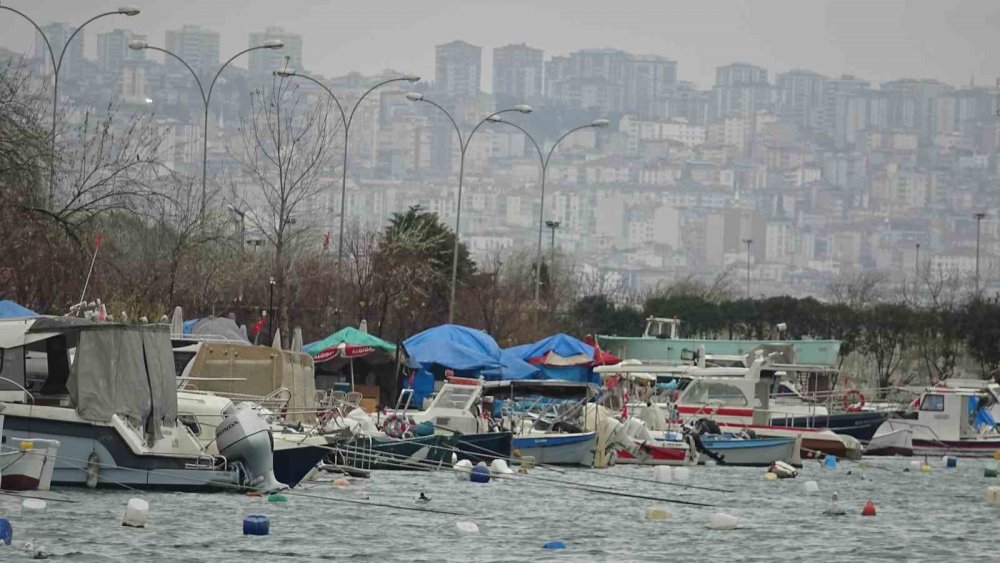Türkiye’yi Terk Eden Hamsinin Yolu Gözleniyor