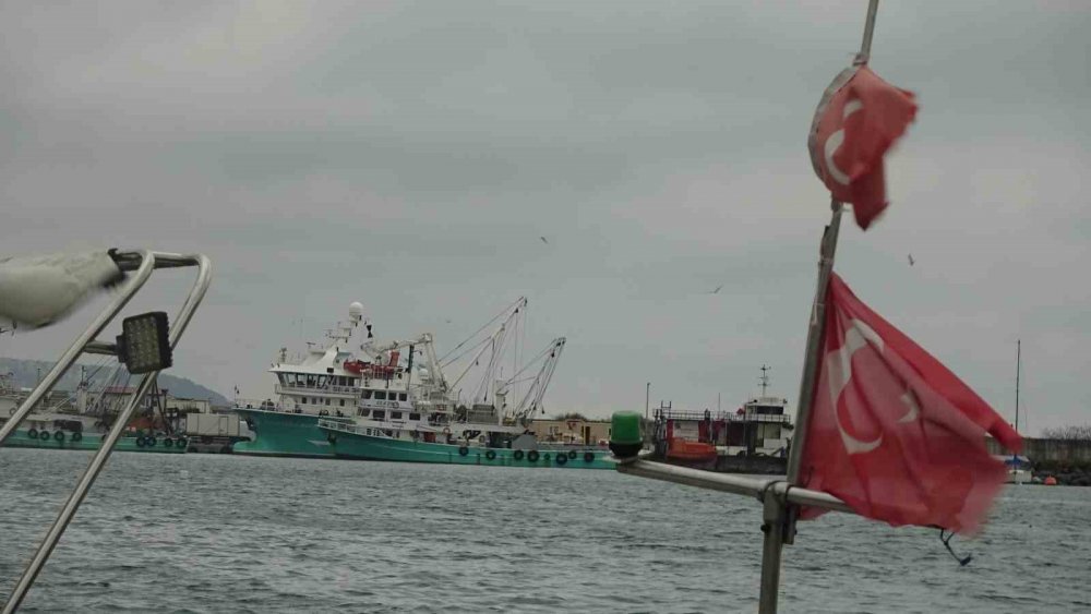 Türkiye’yi Terk Eden Hamsinin Yolu Gözleniyor