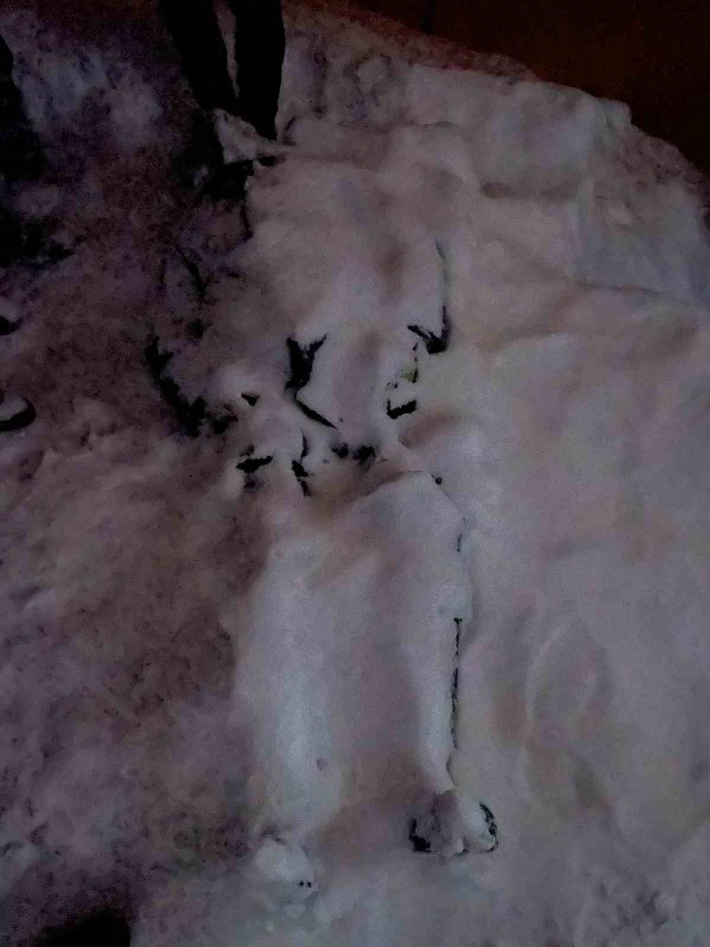 Giresun Güce’de çığ faciası: Çoban hayatını kaybetti