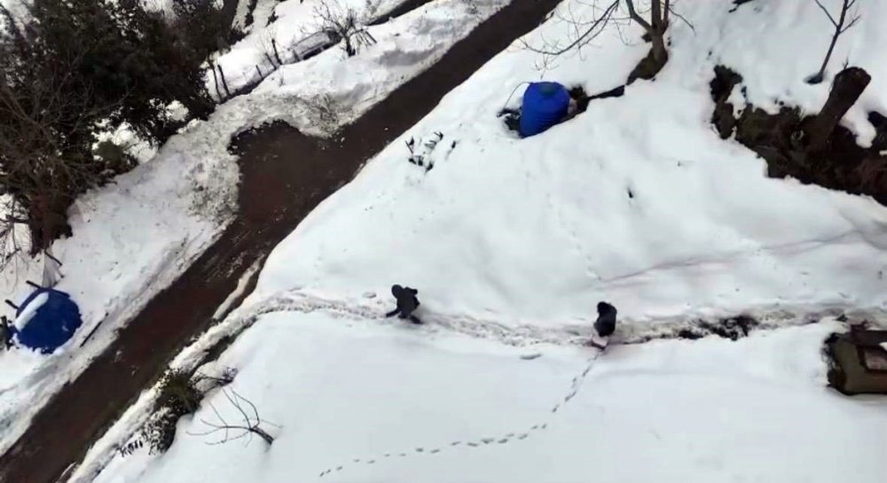 Kar Altında Şap Seferberliği