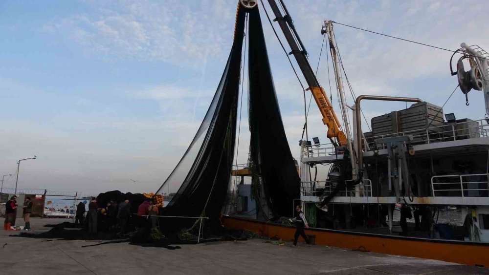 İğneada Ve Gürcistan Açıklarındaki Hamsi Avı Beklentileri Karşılamayınca Balıkçılar Erken Paydos Etti