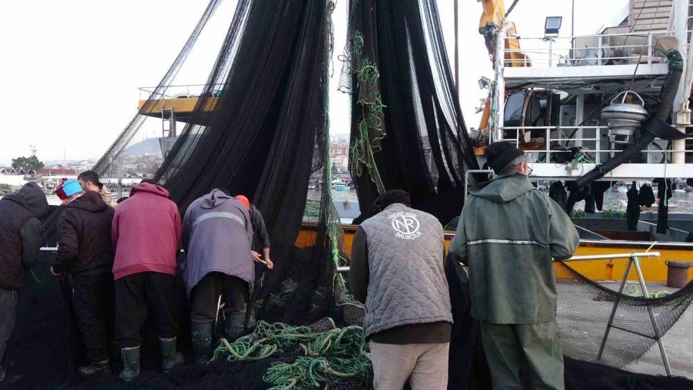 İğneada Ve Gürcistan Açıklarındaki Hamsi Avı Beklentileri Karşılamayınca Balıkçılar Erken Paydos Etti