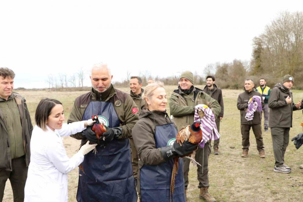 81 Binden Fazla Göçmen Kuş Halkalandı