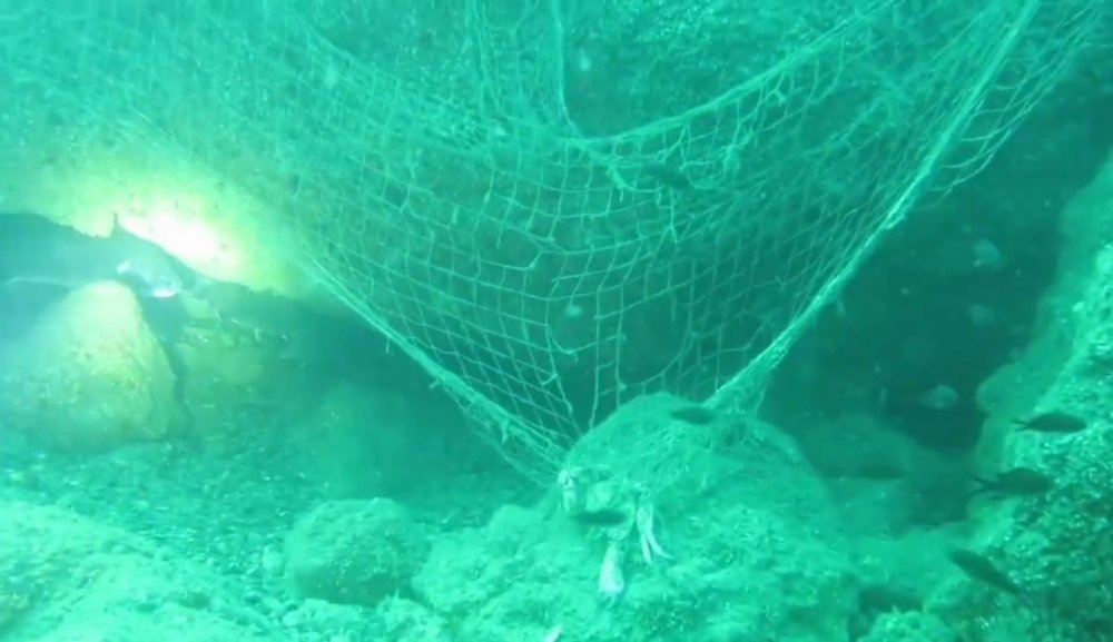 Prof. Dr. Coşkun Erüz: "karadeniz’in Doğal Ekosistemini Ve Biyoçeşitliliğini Korumak İçin Hayalet Ağları Temizlemek Gerekli"