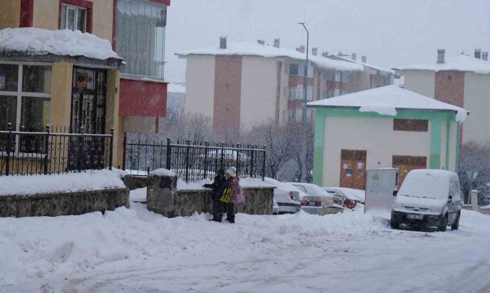 Erzurum’da 84 Köy Yolu Kardan Ulaşıma Kapandı