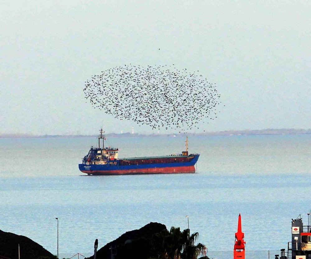 Samsun’dan Objektife Yansıyanlar: Gökyüzü Büyüledi, Şehir Işıkları Geceyi Aydınlattı