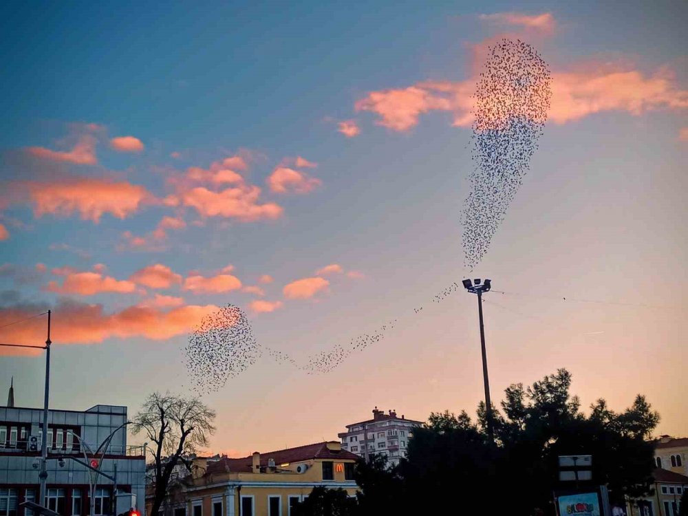 Samsun’dan Objektife Yansıyanlar: Gökyüzü Büyüledi, Şehir Işıkları Geceyi Aydınlattı