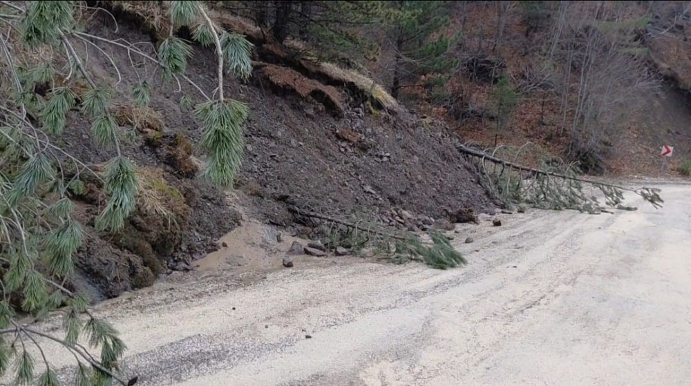 Amasya’da Ormanlık Alanda Heyelan: Ağaçlar Devrildi