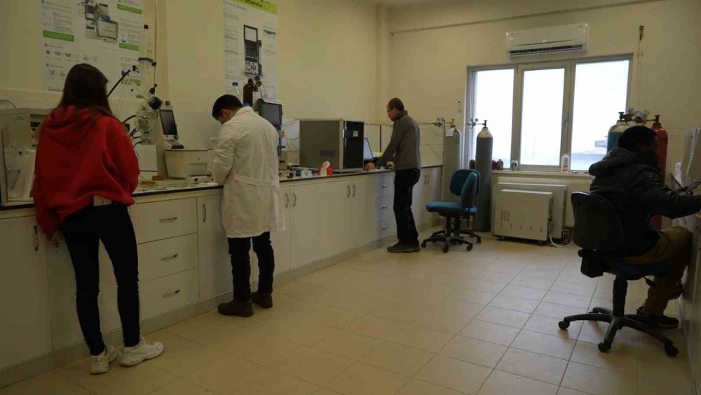 Kenevirden Kauçuk, Krem Ve Biyomalzeme: Omü’den Çok Yönlü Kenevir Çalışmaları