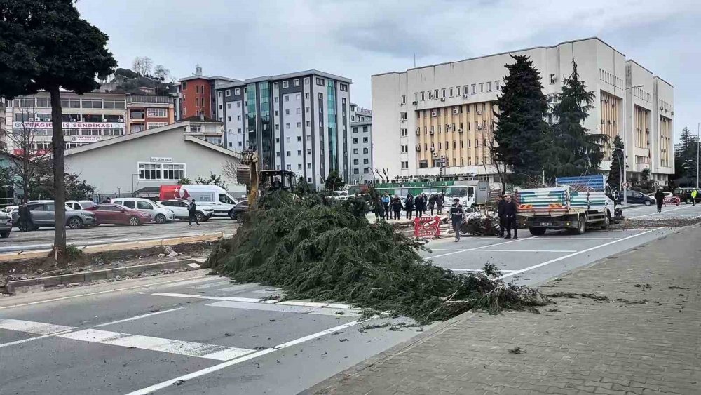 Rize’de Fırtına Ağaç Devirdi: Menderes Bulvarı Yan Yol Ulaşıma Kapandı