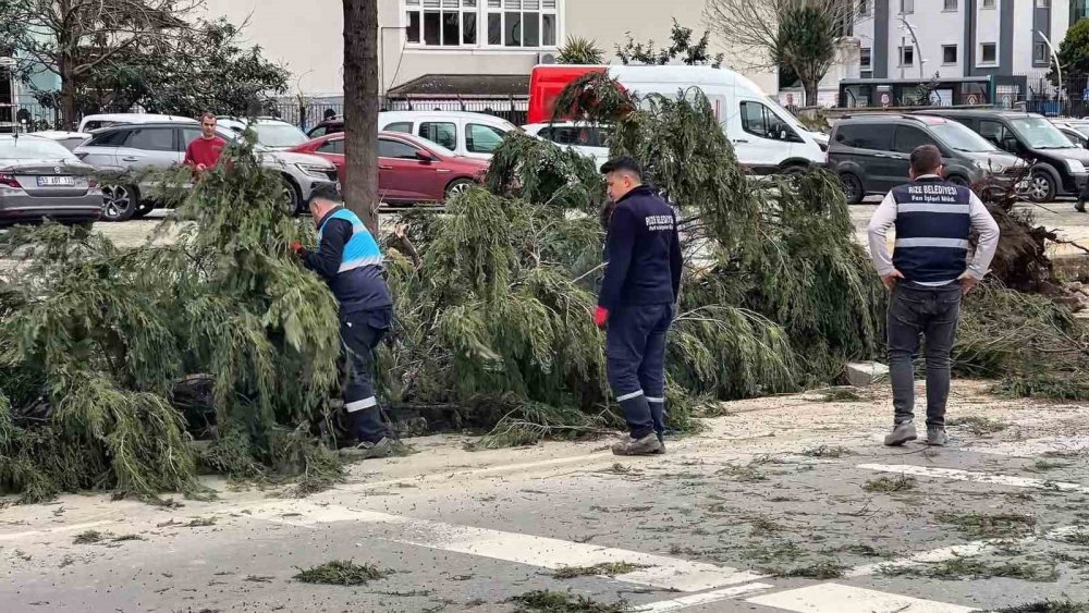 Rize’de Fırtına Ağaç Devirdi: Menderes Bulvarı Yan Yol Ulaşıma Kapandı