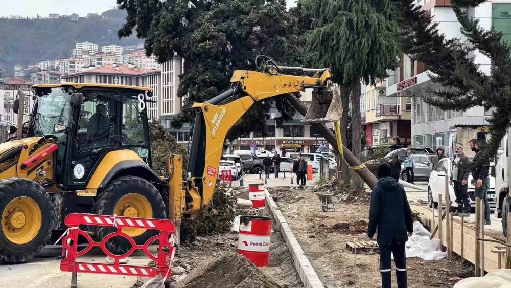 Rize’de Fırtına Ağaç Devirdi: Menderes Bulvarı Yan Yol Ulaşıma Kapandı
