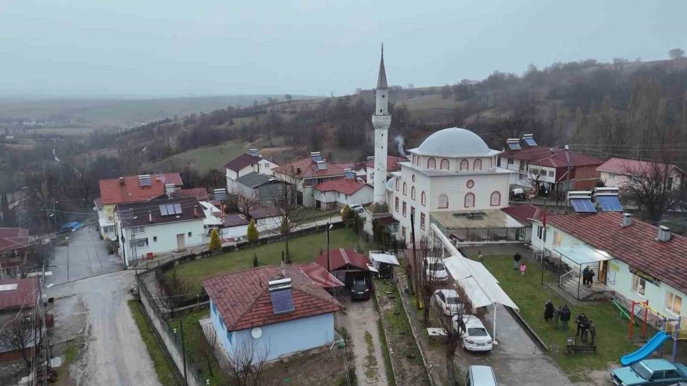 Uzmanı Kahverengi Kokarca İçin Tarih Verdi: "2030 Yılından İtibaren Gündemden Çıkmaya Başlayacak"