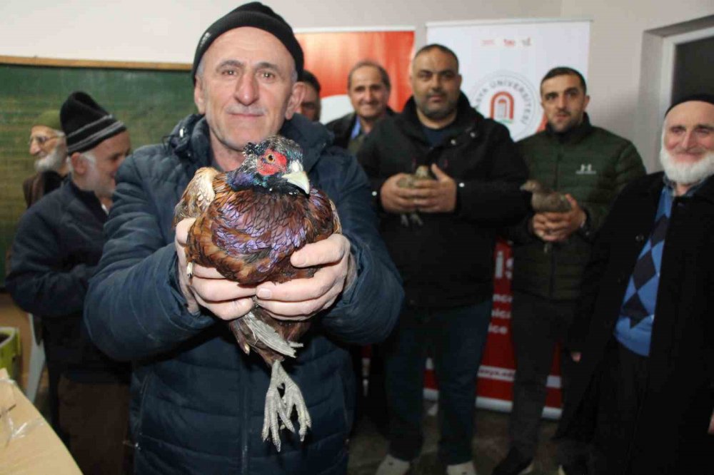 Uzmanı Kahverengi Kokarca İçin Tarih Verdi: "2030 Yılından İtibaren Gündemden Çıkmaya Başlayacak"