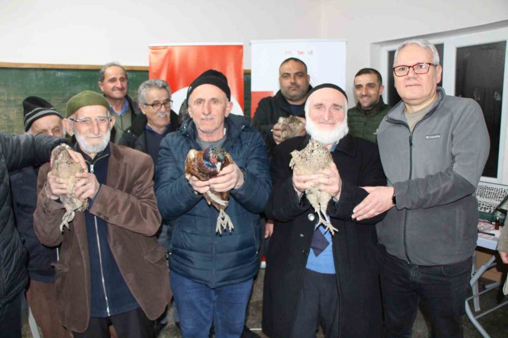 Uzmanı Kahverengi Kokarca İçin Tarih Verdi: "2030 Yılından İtibaren Gündemden Çıkmaya Başlayacak"