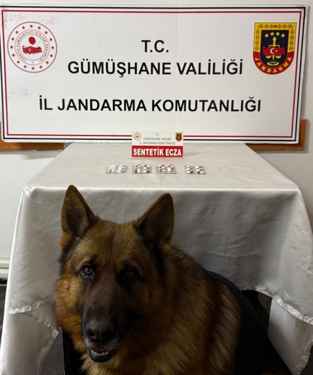 Gümüşhane’de Uyuşturucu Operasyonlarında İki Şüpheli Yakalandı