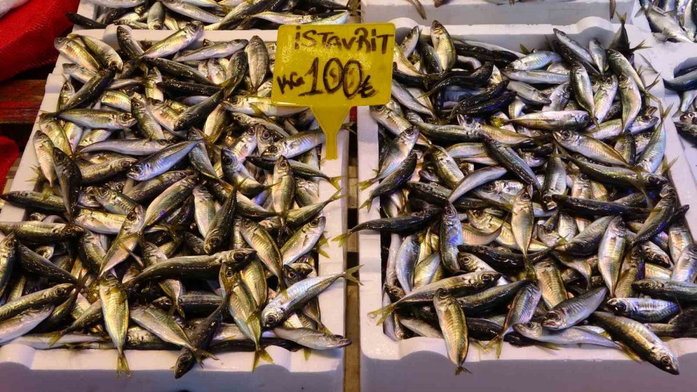 Hamside Beklenen Son