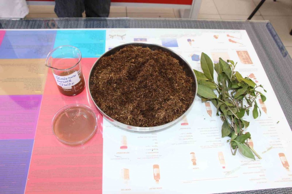 Çay Atığından Antibakteriyel Ürün Geliştirdiler