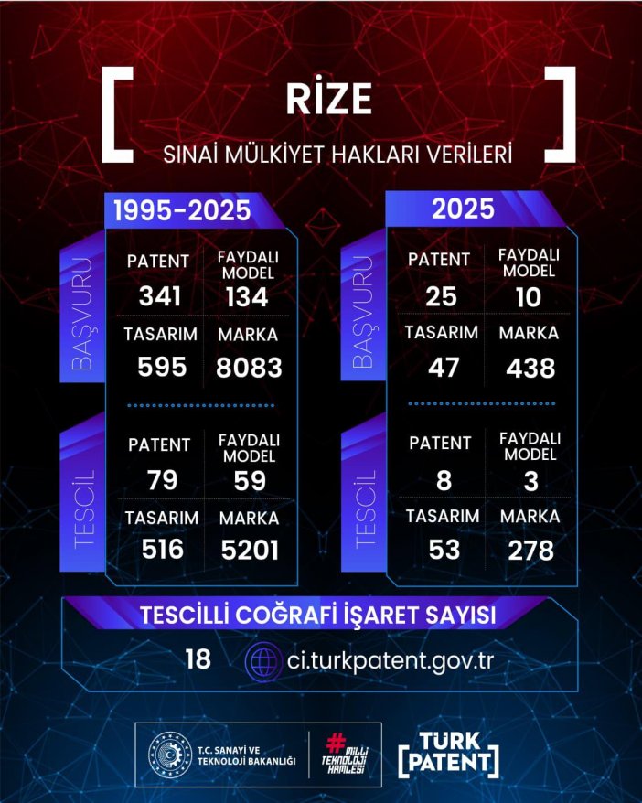 rize-patent.jpg