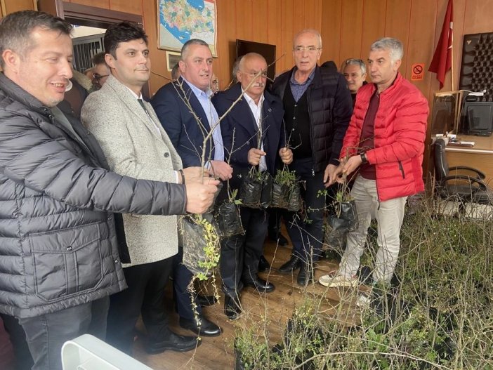 pazar-elma-14.jpg