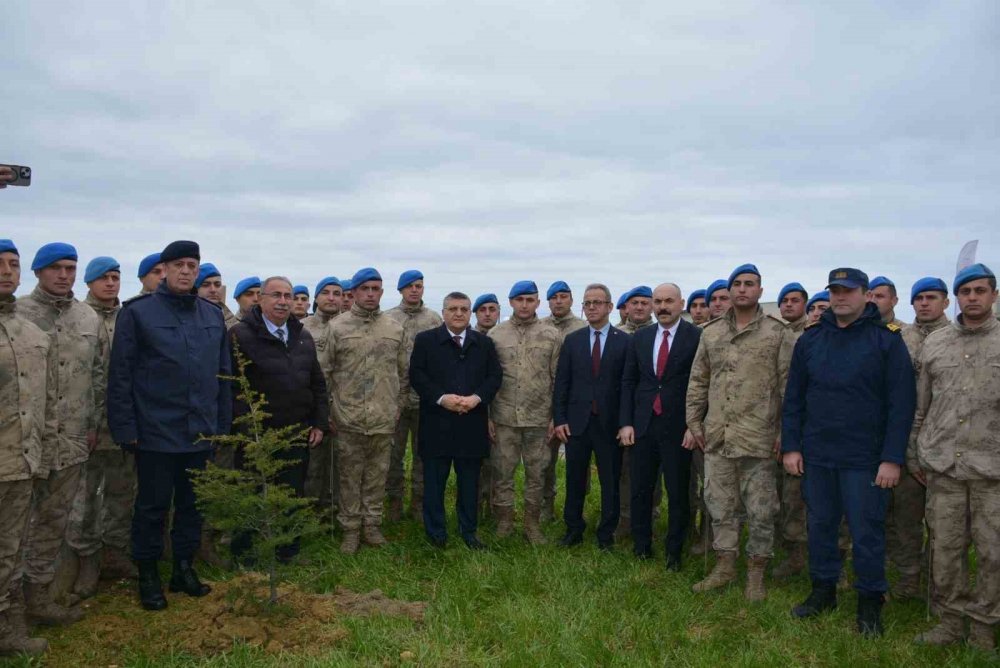 Sinop’ta 5 Bin 700 Fidan Toprakla Buluştu