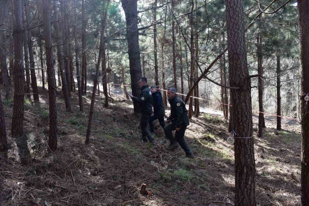 Türkiye Ormancılık Oyunları Trabzon’da Başladı
