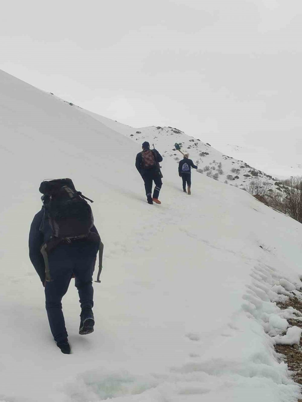 Bayburt’ta Ayı Saldırılarının Yaşandığı Yaylada Ulaşım Sorunu Sürüyor