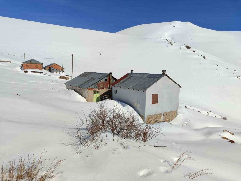 Bayburt’ta Ayı Saldırılarının Yaşandığı Yaylada Ulaşım Sorunu Sürüyor
