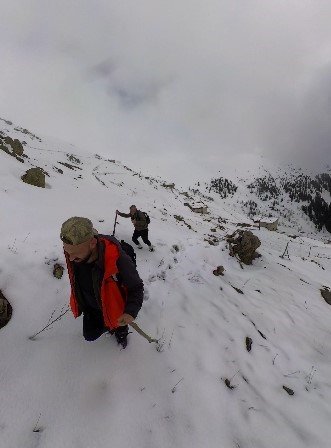 Ayılar Trabzon’da Yaylalardan Sonra Mahallelere Dadandı