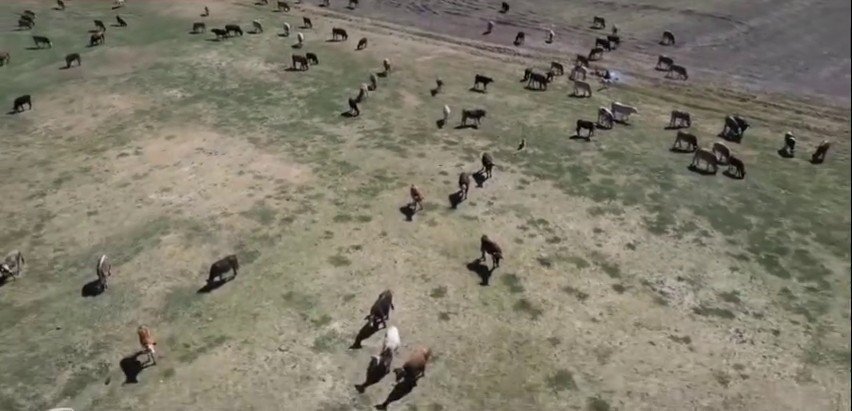 Erzurum’da 3,38 Milyar Destekle 5 Bin 226 Kişilik İstihdam Oluştu