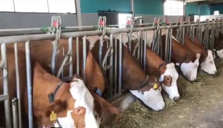 Erzurum’da 3,38 Milyar Destekle 5 Bin 226 Kişilik İstihdam Oluştu