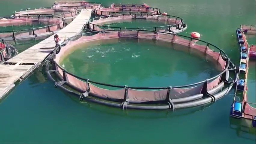 Erzurum’da 3,38 Milyar Destekle 5 Bin 226 Kişilik İstihdam Oluştu