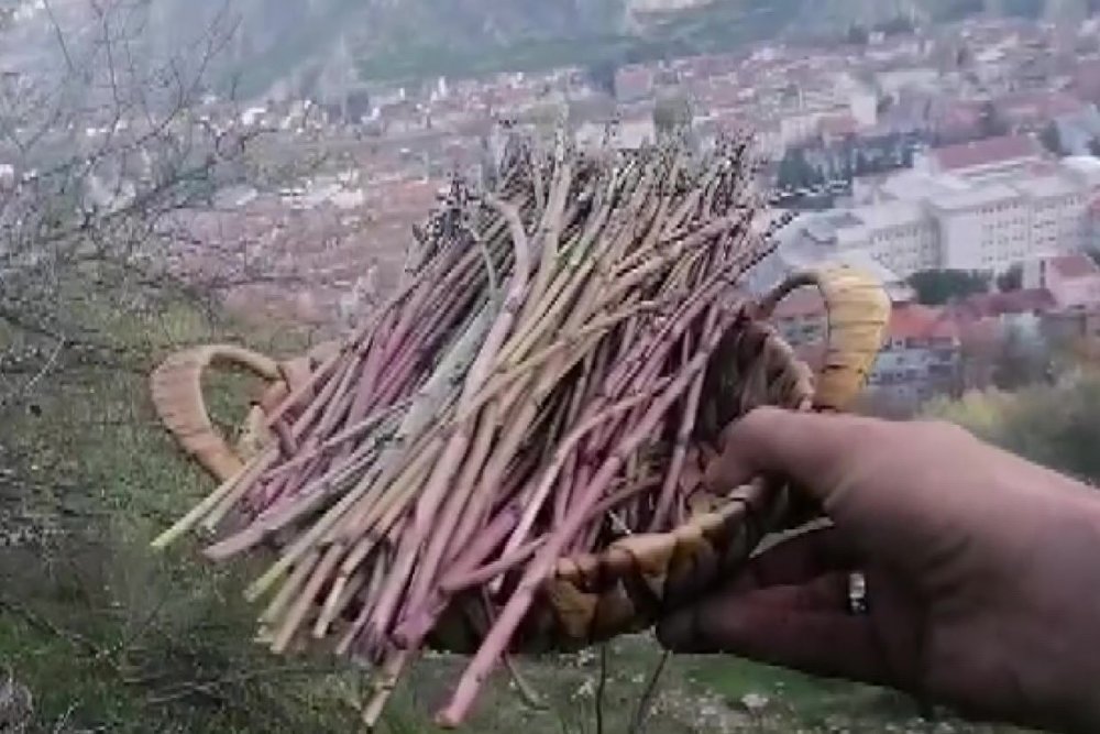 Kuşkonmaz İçin Çıktığı Dağda 6 Torba Çöp Topladı