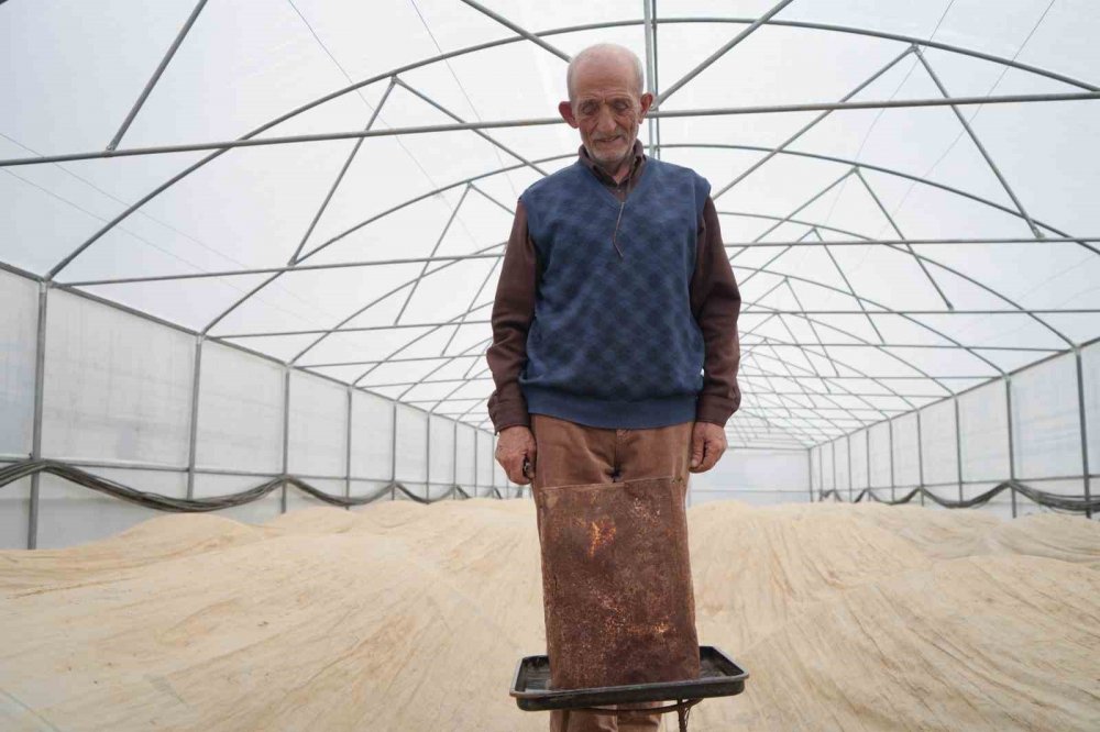 76 Yaşındaki Bayburtlu Üretici Ata Tohumları İçin Zirai Don Nöbetinde