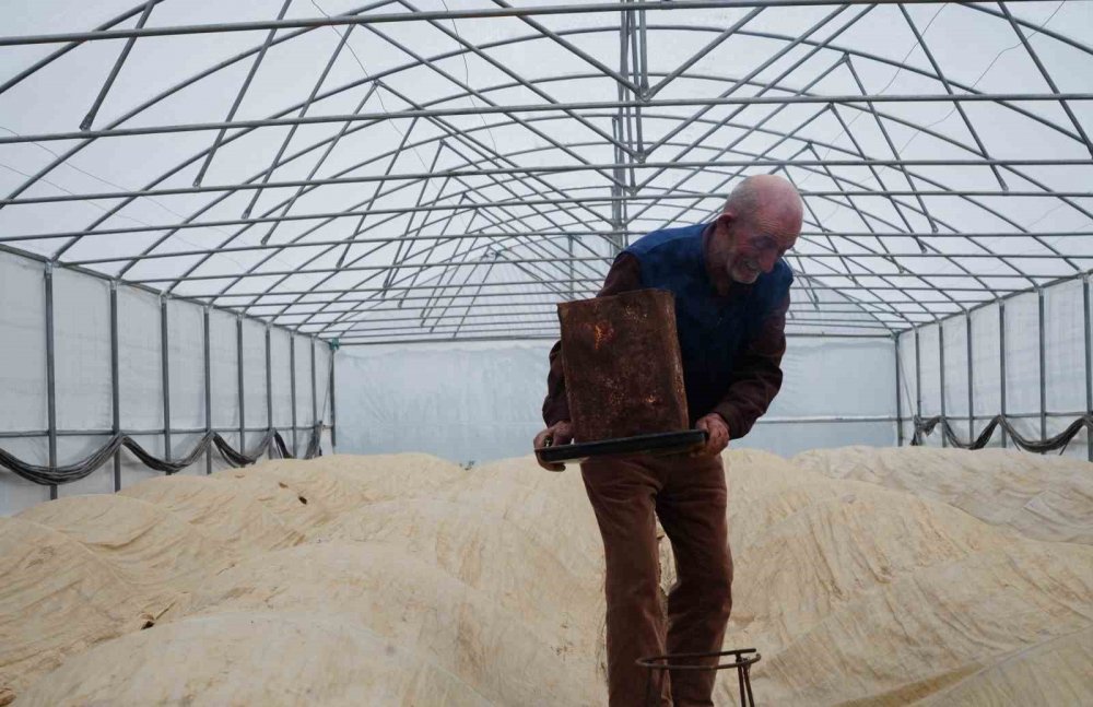 76 Yaşındaki Bayburtlu Üretici Ata Tohumları İçin Zirai Don Nöbetinde