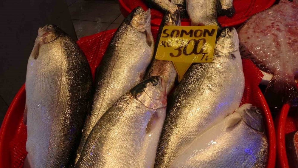 Denizlerde Av Yasağının Başlamasının Ardından Tezgahlar Kültür Balıklarına Kaldı