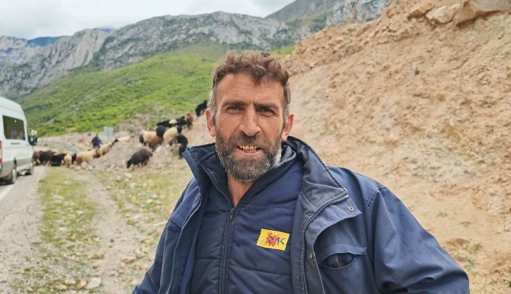 ARTVİN’DE HAVALARIN ISINMASIYLA BİRLİKTE BESİCİLERİN YAYLA YOLCULUĞU BAŞLADI