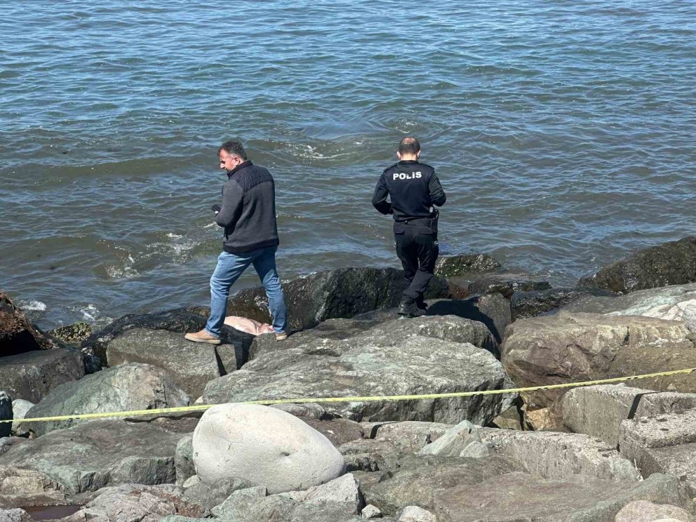 Rize Pazar’da Sahilde Erkek Cesedi Bulundu, Kimlik Tespiti Sürüyor