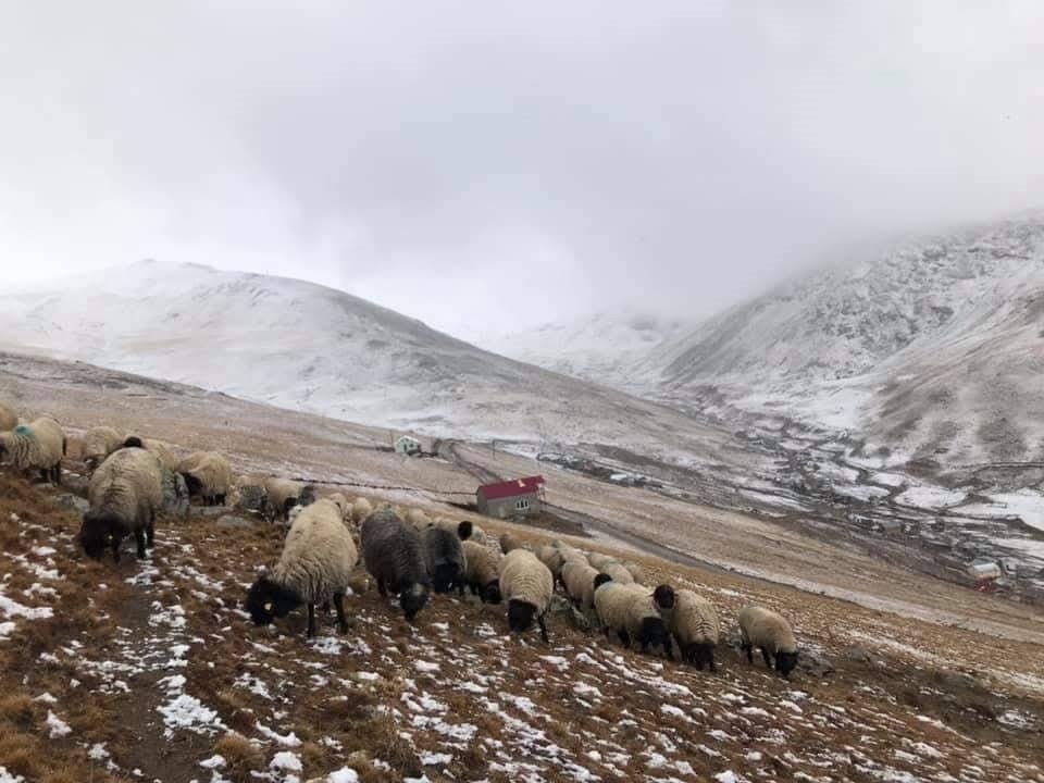 300 Yıllık Kullanıma Müdahale Tepki Çekti
