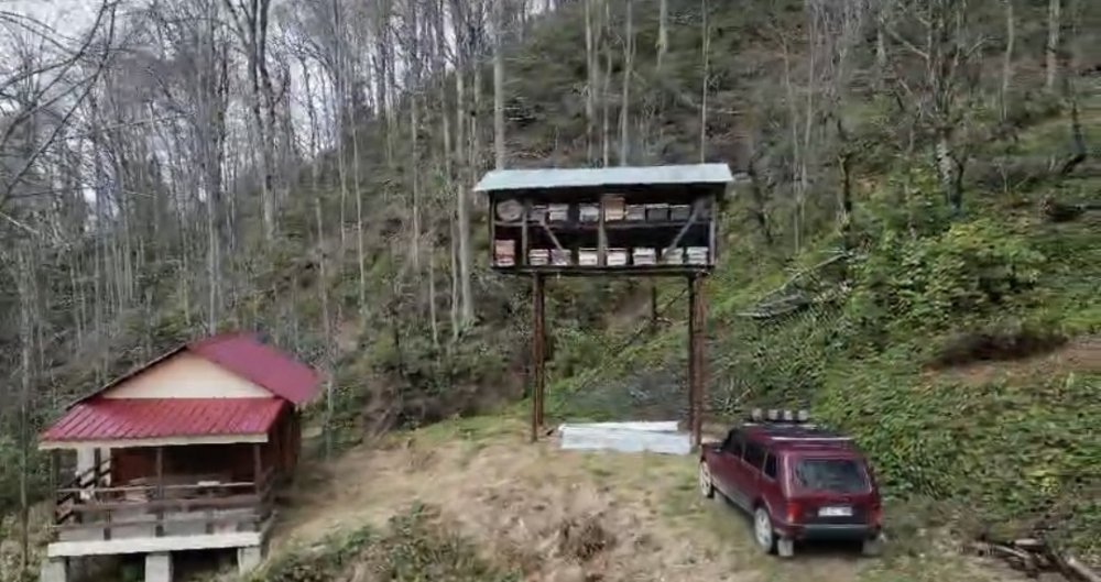 Rize’de Aç Kalan Ayı Kovanlara Ulaşmak İçin Demire Tırmandı