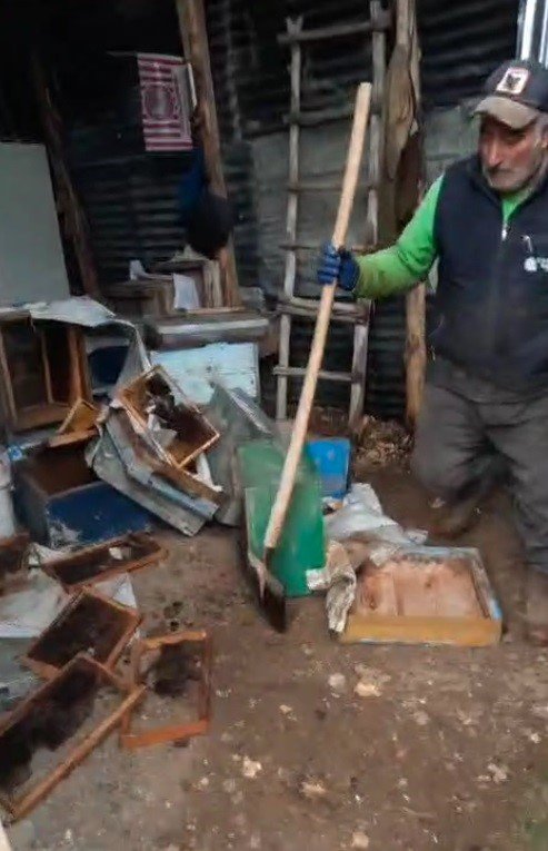 Bayburt’ta İki Farklı Arılığı Talan Eden Ayılar Köpek Havlayınca Kaçtı