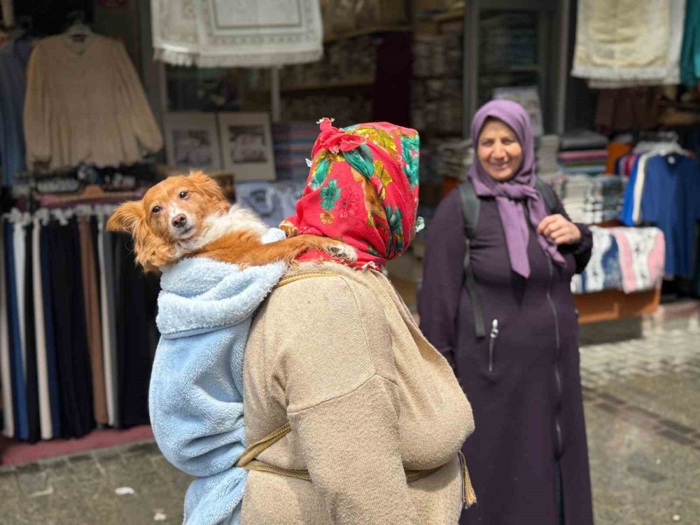 Trabzon Sokaklarının En Sıra Dışı Gezintisi