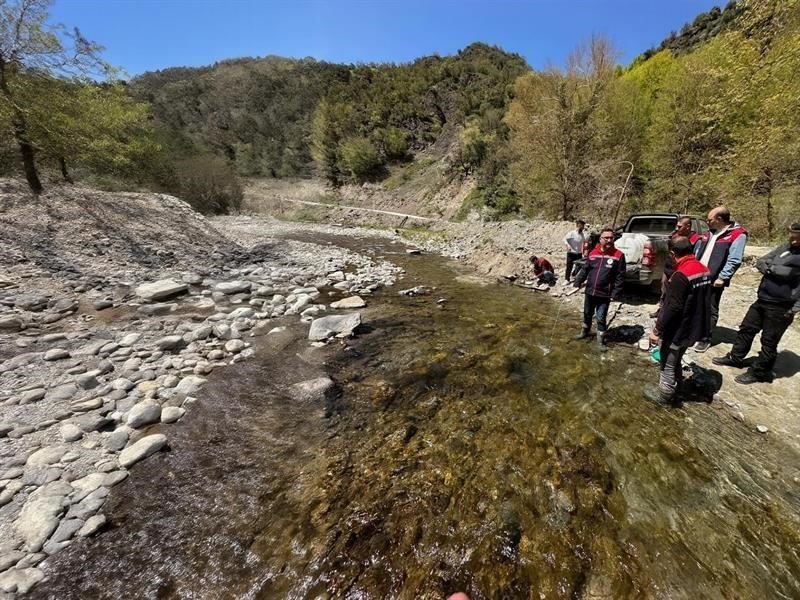 Yığılca’da Derelere 50 Bin Kırmızı Benekli Alabalık Yavrusu Bırakıldı